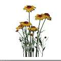 Yellow and Red Blooming Flowers with Green Stems and Leaves