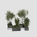Lush Green Bonsai Potted Plants With Various Trees Shrubs And Black Planters