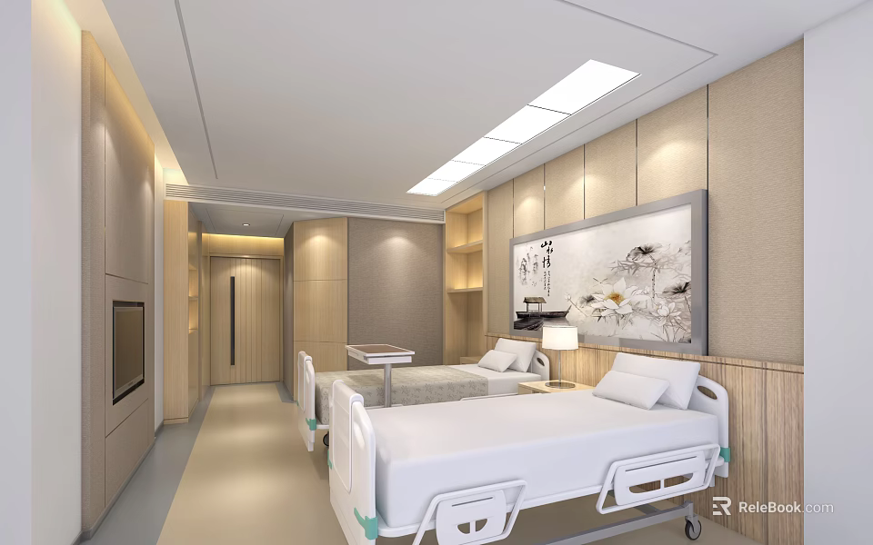 Modern Hospital Ward Interior With Two Medical Beds TV And Wall Decor 3d model 