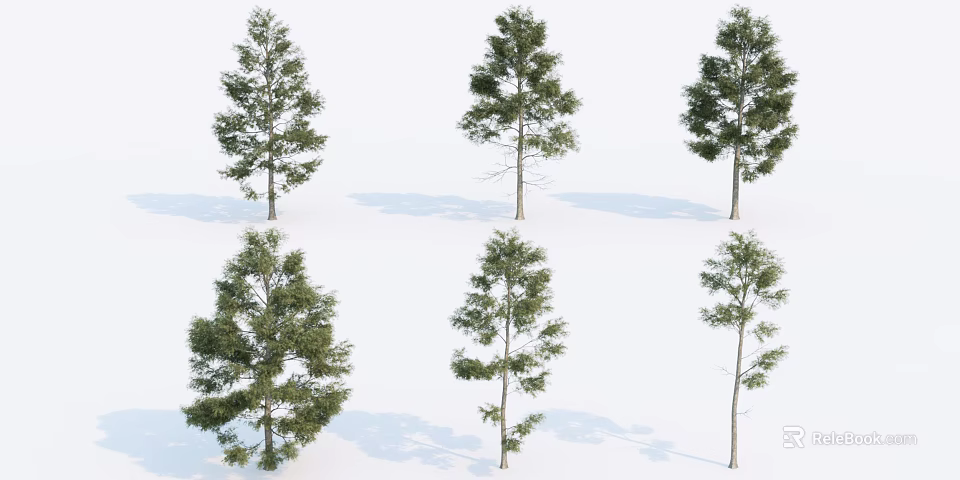 Diverse Arbor Trees Displaying Varied Crown Shapes And Foliage Densities 3d model 