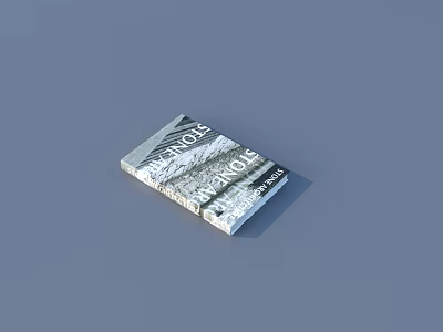 Exile Stone Book Cover With Mountain Landscape On Gray Background 3d model