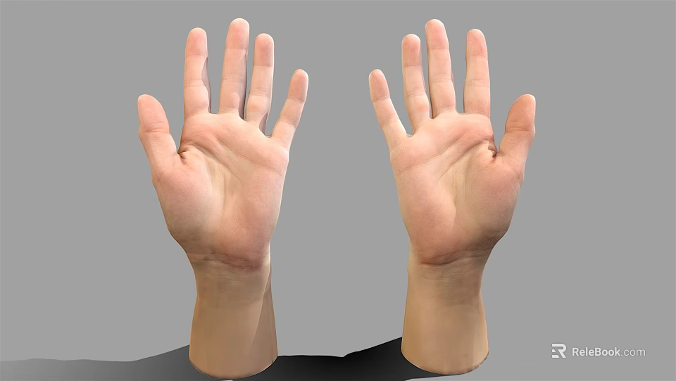 Two Human Hands Palms Up Fingers Spread Open Front View Against Gray Background 3d model 