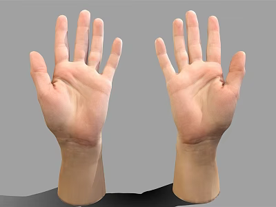 Two Human Hands Palms Up Fingers Spread Open Front View Against Gray Background 3d model