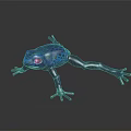 Detailed Blue Spotted Frog Display Model Placed On Dark Reflective Background Surface 3d model