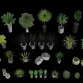 Various Potted Green Plants In Different Sizes Shapes And Material Pots On Gray Background