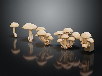 Modern mushroom straw mushroom poisonous mushroom 3d model