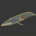 3D Blue Whale Model Displaying Detailed Cutaway Interior With Colorful Structures