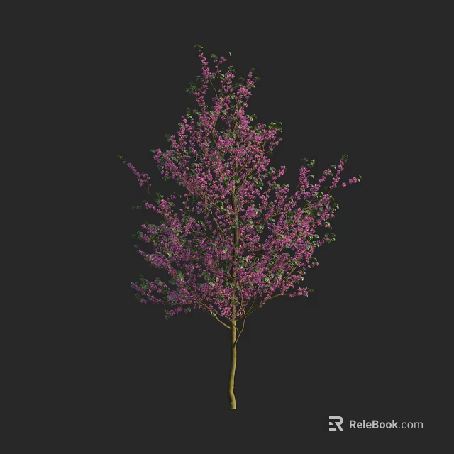 Purple Flowering Arbor With Dense Blooms And Yellow Trunk On Black Background 3d model 