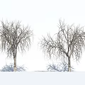 Wooden Leafless Trees With Bare Branches And Shadows On White Background 3d model