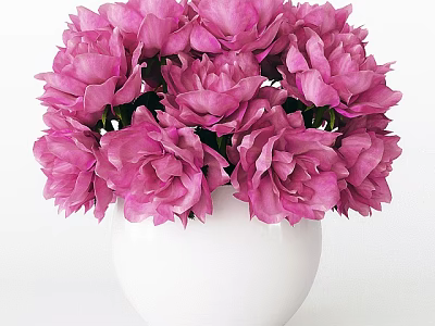 Beautiful Pink Peonies Arranged In White Ceramic Vase For Home Decor 3d model