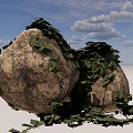 Natural Stones And Wood Elements With Green Vines And Lush Foliage Design