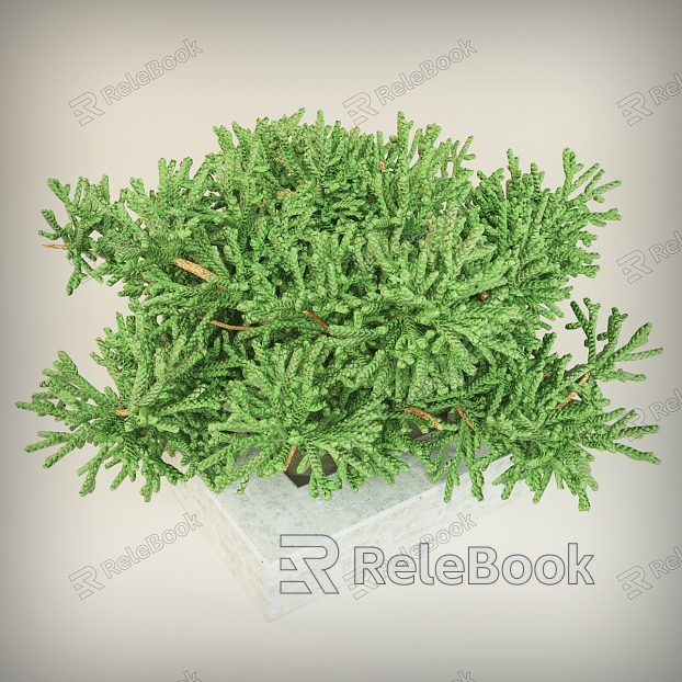 Shrub Plant Plant Shrub Green Plant Outdoor Landscape Flowers and Grasses Flower Beds Grass model