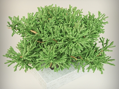 Shrub Plant Shrub Green Plant Outdoor Landscape Flowers and Grasses Flower Beds Grass model