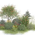 Flowering Shrubs With Red Blooms Green Foliage And Diverse Sizes In Lush Garden Landscape