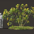 Two Human Silhouettes Standing Beside Tree With Yellow Flowers And Grass Patch 3d model