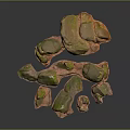 Natural Stone And Wood Decorative Pieces With Green Moss And Textures
