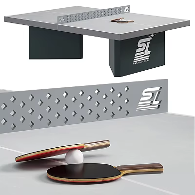 High Performance Table Tennis Sports Equipment With Table Rackets And Ball 3d model