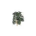 Decorative Plant Arrangement With Monstera Leaves And Wooden Stand For Home Decor