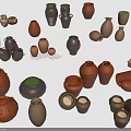 Various Potted Plants Planted in Clay Ceramic Pots with Different Shapes and Sizes