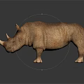 Realistic Brown Rhinoceros With Single Horn Standing On Dark Background With Reflection
