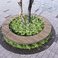 Circular Tree Pit With Wooden Bench And Green Plants On Gray Paved Ground