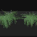 Green Bushes With Lush Foliage And Hanging Vines On Gray Surface Against Black Background
