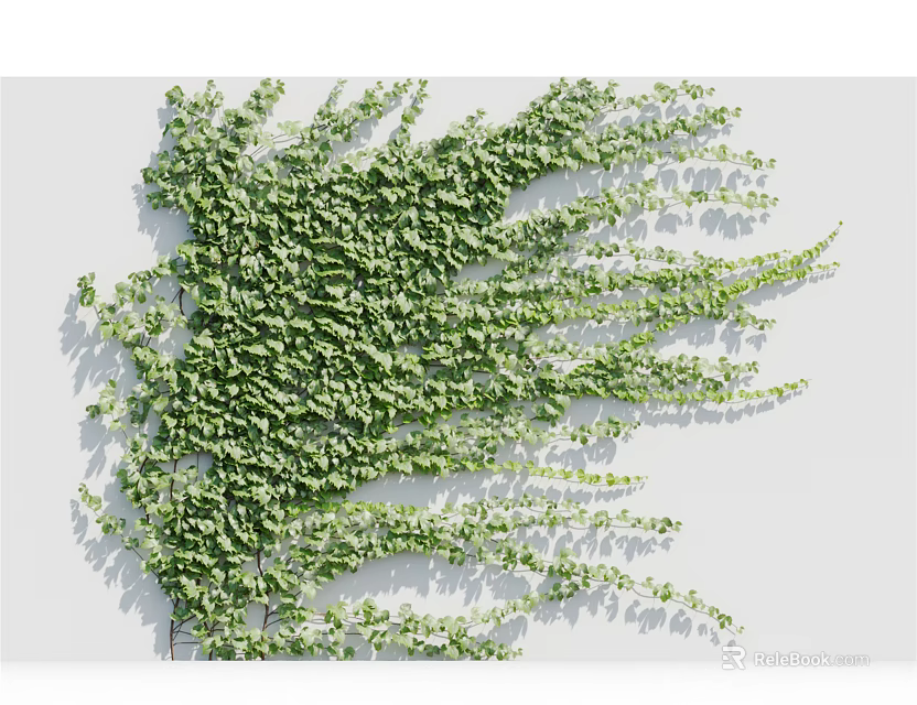 Lush Green Vines Climbing On White Wall With Dense Foliage And Natural Growth 3d model 