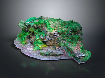 Realistic Miniature Natural Landscape Model With Green Vegetation Stone Structure Moss And Ground Cover 3d model
