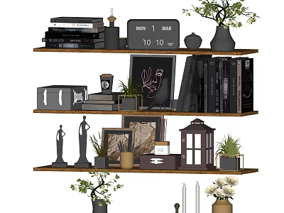Decorative Ornament Combination On Wooden Shelves With Books Plants Frames Lantern And Vases 3d model