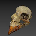 Ancient Fossil Specimen With Textured Surface And Orange Red Accent 3d model