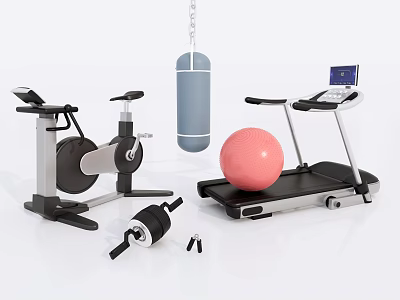 Essential Home Sports Equipment Including Stationary Bike Treadmill Punching Bag Exercise Ball And Dumbbells 3d model