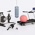 Essential Home Sports Equipment Including Stationary Bike Treadmill Punching Bag Exercise Ball And Dumbbells