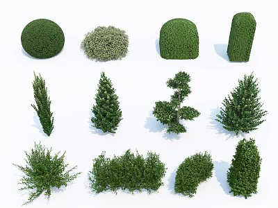 Modern Shrub Tree 3d model