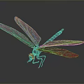 Gray Dragonfly Model With Spread Wings On Dark Background Surface 3d model