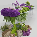 Indoor Landscape Featuring Purple Flowers Green Moss Ferns And Rocks On Metal Stand Table