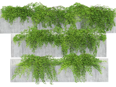 Lush Green Vining Shrubs Covering Gray Concrete Wall Surfaces 3d model