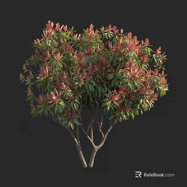 Arbor With Red And Green Leaves Lush Dense Foliage Shapely Natural Form 3d model 