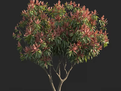 Arbor With Red And Green Leaves Lush Dense Foliage Shapely Natural Form 3d model