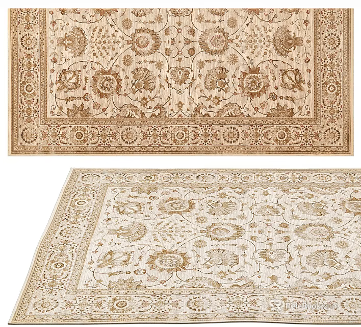 Traditional Square Area Rugs With Intricate Floral Patterns In Neutral Tones 3d model 