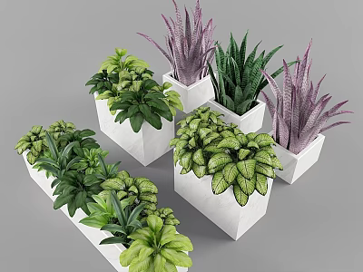 Stylish Garden Decor With White Planters And Various Green Purple Leaf Plants 3d model