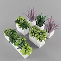 Stylish Garden Decor With White Planters And Various Green Purple Leaf Plants