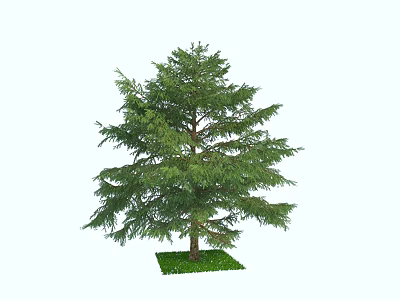 The Modern Tree 3d model The Modern Tree 3d model