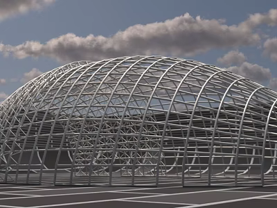 Modern Large Span Architectural Steel Grid Framework With Arched Structure Design 3d model