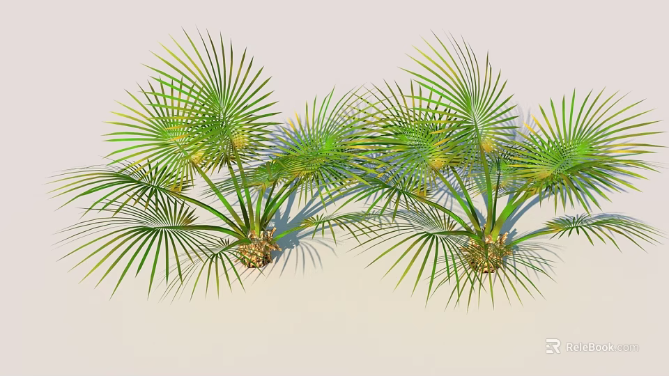 Lush Fan Palm Bonsai Potted Plant With Green Fronds And Decorative Design For Indoor Spaces 3d model 