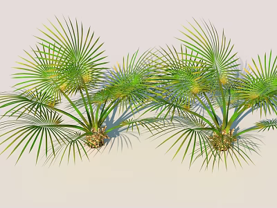 Lush Fan Palm Bonsai Potted Plant With Green Fronds And Decorative Design For Indoor Spaces 3d model