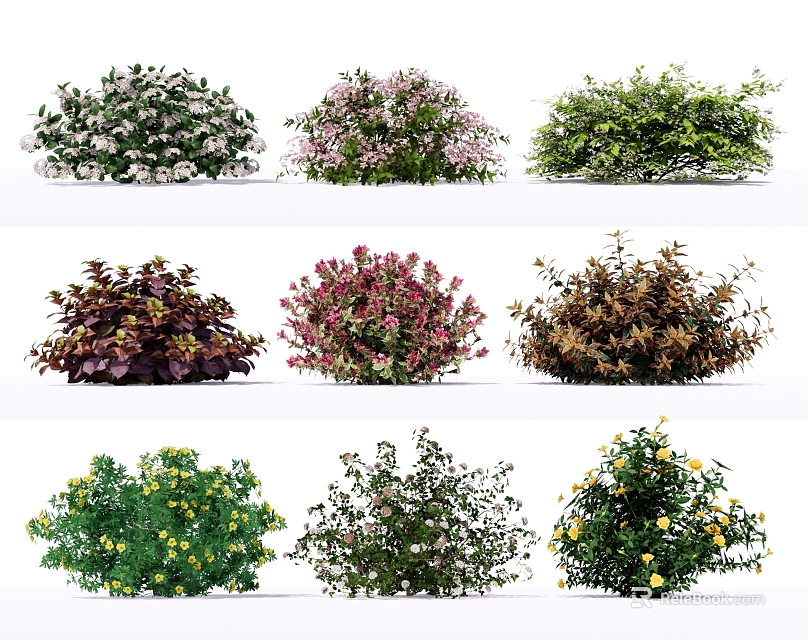 Different Types of Colorful Flowering Shrubs with Varied Foliage and Blooms 3d model 