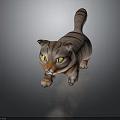 Brown Striped Cat With Yellow Eyes Standing On Dark Background With Reflection 3d model
