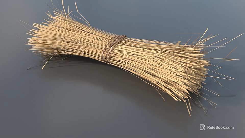 Dried Flower Grass Bundle Tied with Natural Rope for Home Decor and Craft Projects 3d model 