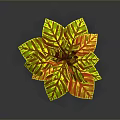 Vibrant Potted Plant With Yellow And Red Striped Leaves For Indoor Decor