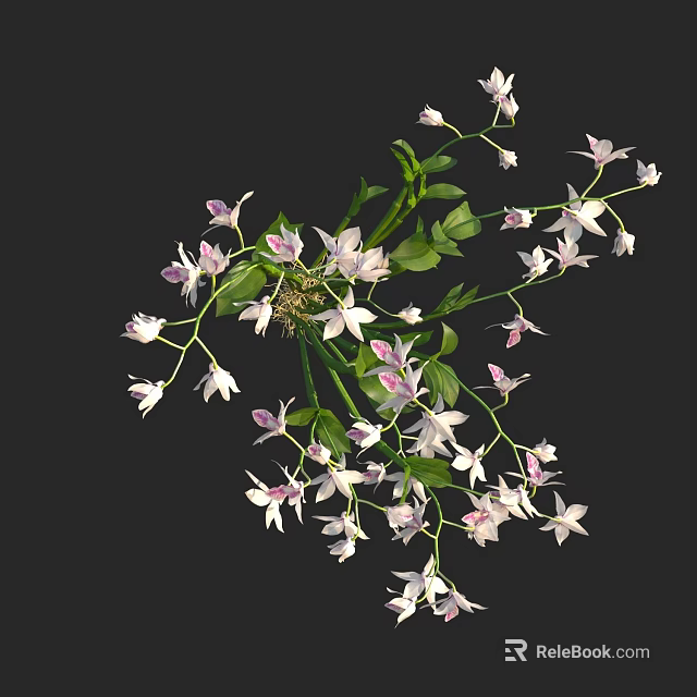 Elegant Decorative Vase With White And Pink Orchid Flowers And Fresh Green Leaves 3d model 